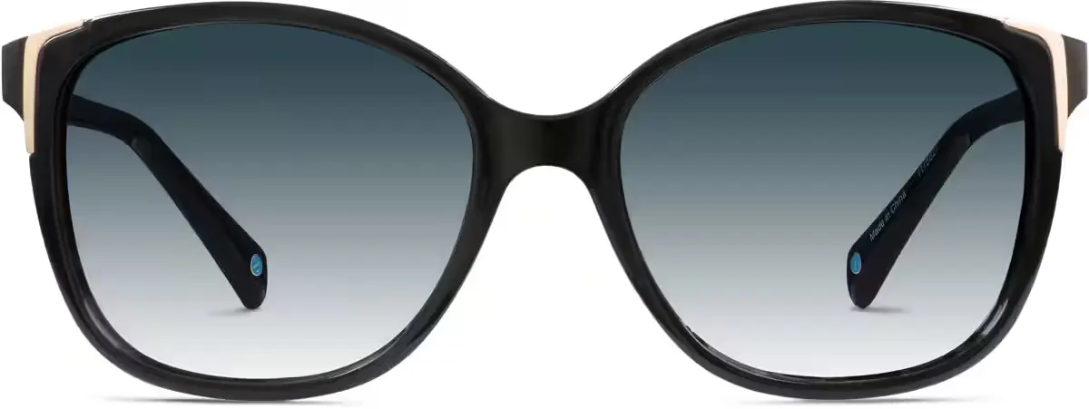 Black Square Sunglasses #1115621